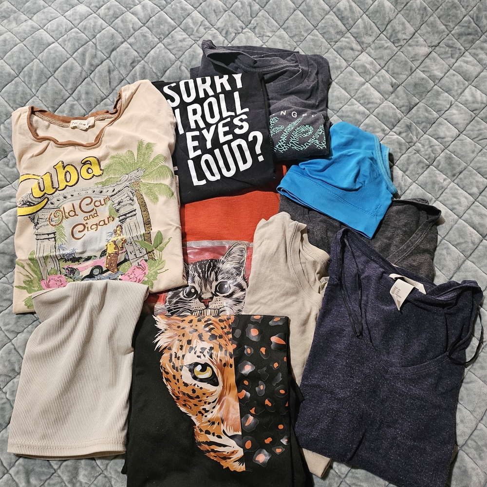 Assorted Graphic and Solid T-Shirts